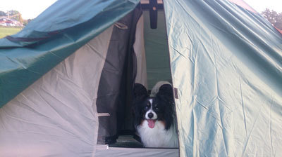 camp1_6.jpg